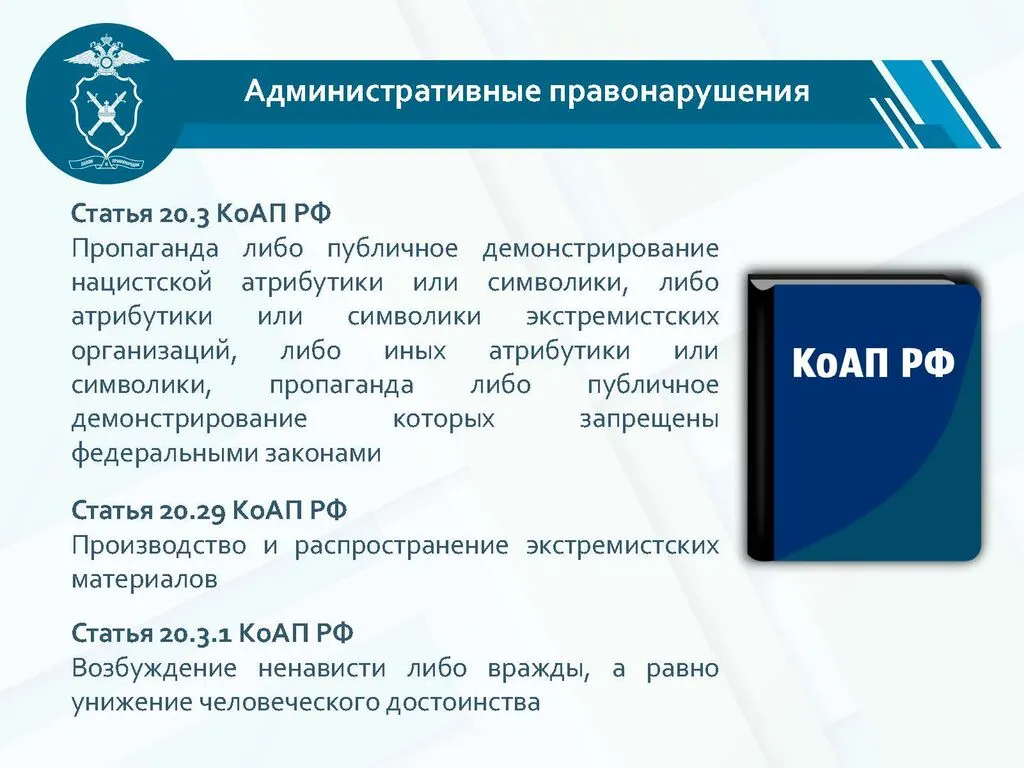 презентация  профилактика экстремизма_Страница_04